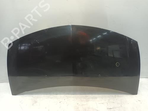 Used Hood RENAULT CLIO III (BR0/1, CR0/1) 1.6 16V (BR05, BR0B, BR0Y, BR15, BR1J, BR1M, BR1Y, CR0B,... (112 hp) 21079815