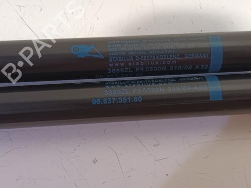 Tailgate lift support PEUGEOT 5008 (0U_, 0E_) 1.6 16V | BP17003920C138