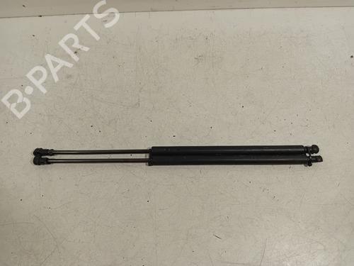 Tailgate lift support LEXUS GS (_S19_) 450h (GRS191_, GWS191_, GRS191R, GWS191R) | BP20289054C138 