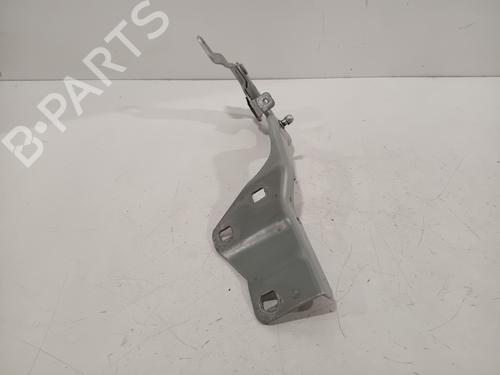 Hinge/Door check strap RENAULT SCÉNIC IV (J9_) 1.3 TCe 160 (J9NC) | BP28282976C146 