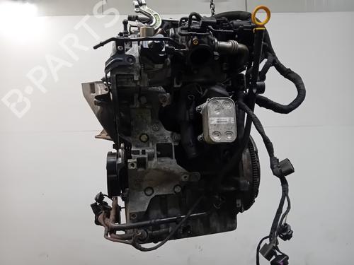 Engine VW POLO V (6R1, 6C1) 1.2 TDI | BP29325561M1 