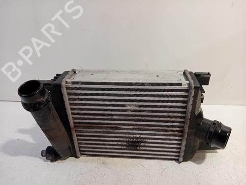 Intercooler DACIA DUSTER (HM_) 1.0 TCe 100 (HMMT) | BP19727165M30 