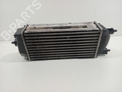 Intercooler FORD FIESTA VI (CB1, CCN) 1.0 EcoBoost | BP30617866M30