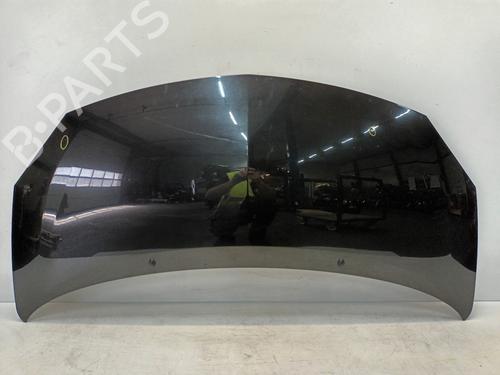 Panser Panser RENAULT TWINGO II (CN0_) 1.2 16V (CN04, CN0B) (75 hp) 33607785 33607785