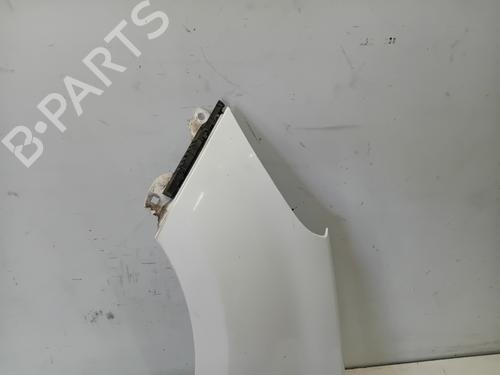Left front fenders HYUNDAI i20 I (PB, PBT) 1.2 | BP29333605C41 