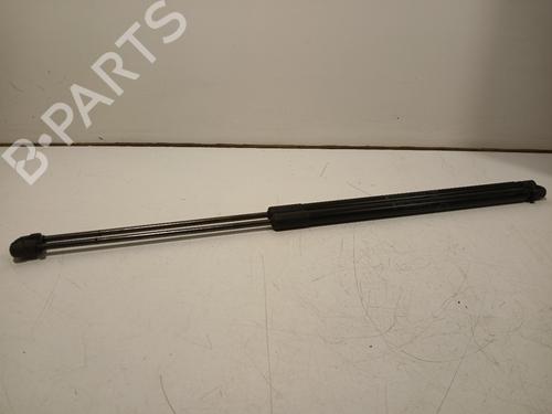 tailgate-lift-support-ford-c-max-ii-dxacb7-dxaceu-2010-2011-2012-2013-2014-2015-2016-2017-2018-2019-24980554 main image