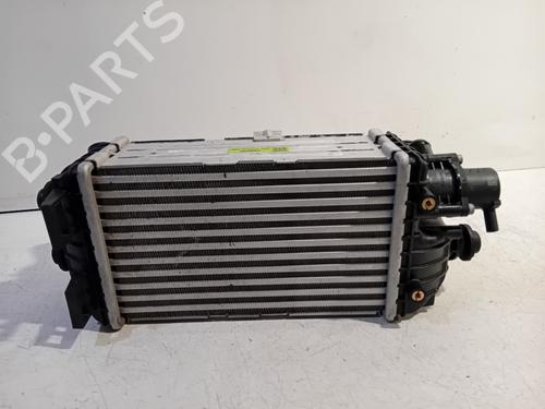 Used Intercooler Intercooler 20226117 20226117