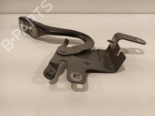 Hinge/Door check strap RENAULT CLIO IV (BH_) 0.9 TCe 90 (BHNF, BHMA, BHMH, BHJK, BHJR) | BP16444414C146 