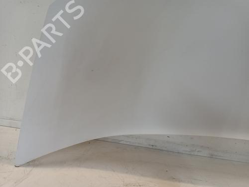 Hood RENAULT KANGOO Express (FW0/1_) 1.5 dCi 75 (FW07, FW10, FW04) | BP24262517C1 