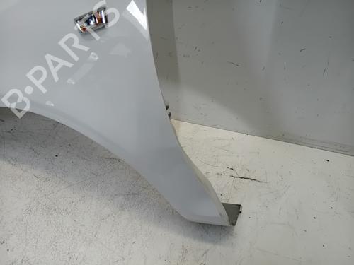 Left front fenders OPEL CORSA D (S07) 1.2 LPG (L08, L68) | BP25749646C41 