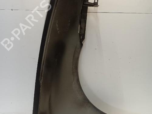 Left front fenders PORSCHE CAYENNE (9PA) Turbo S 4.5 | BP24332575C41 