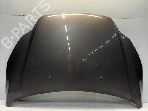 BP30641110C1 main image