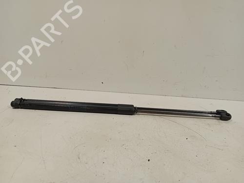 Tailgate lift support BMW X1 (E84) sDrive 18 d | BP24863977C138 