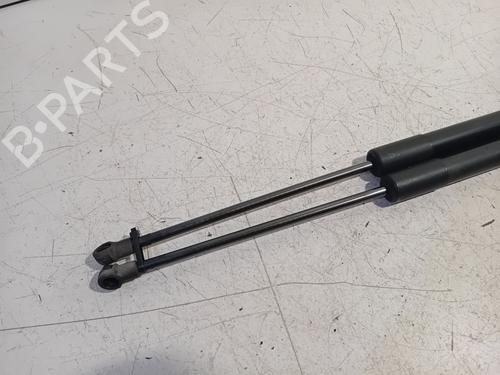 Tailgate lift support VW GOLF VII (5G1, BQ1, BE1, BE2) 1.4 TSI | BP29275474C138 