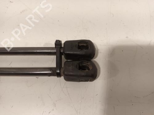 Hood lift support BMW 3 (F30, F80) 316 d | BP17558707C139 