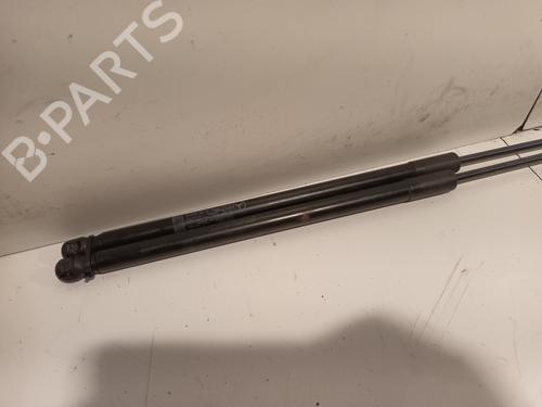 Hood lift support MERCEDES-BENZ M-CLASS (W166) ML 350 BlueTEC 4-matic (166.024, 166.023) | BP17093283C139 