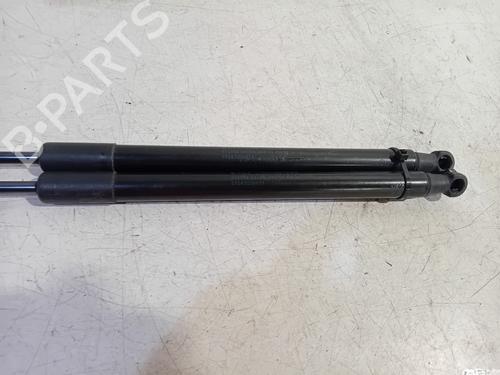 Tailgate lift support BMW 1 (F20) 114 i | BP19404064C138 