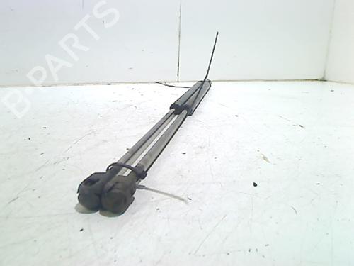 Tailgate lift support FORD FOCUS II Turnier (DA_, FFS, DS) 1.4 | BP13198086C138 