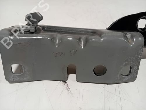 Hinge/Door check strap RENAULT AUSTRAL TCe 160 (HGMJ) | BP36641500C146 - Image 3