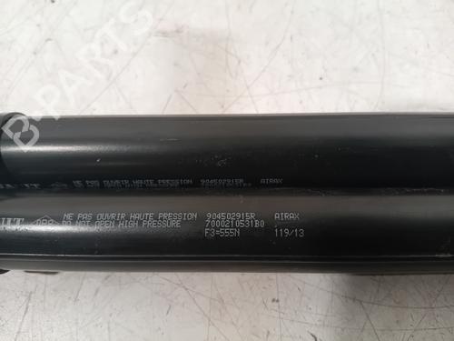 Tailgate lift support RENAULT ZOE (BFM_) ZOE | BP22768268C138