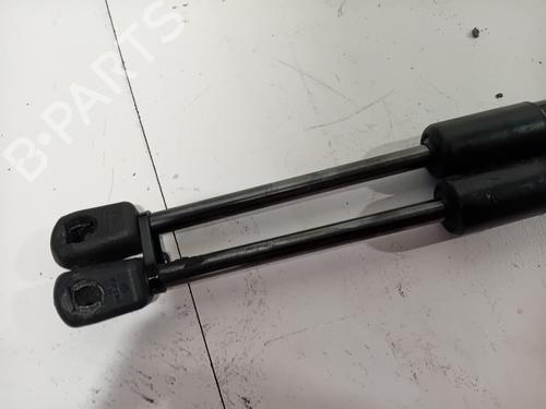 Hood lift support BMW 1 (F20) 116 d | BP27478883C139