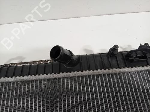 Water radiator FORD FIESTA VI (CB1, CCN) 1.0 EcoBoost | BP29941087M31 