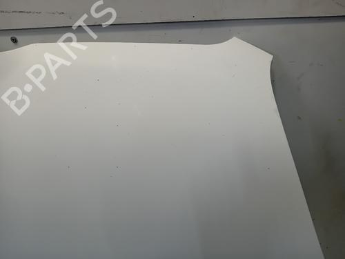 Hood FIAT DOBLO Cargo (263_) 1.3 D Multijet | BP28083633C1 