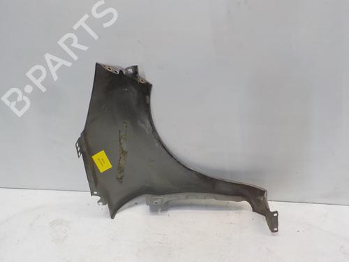 Left front fenders FORD FIESTA VI (CB1, CCN) 1.6 TDCi | BP16772952C41 