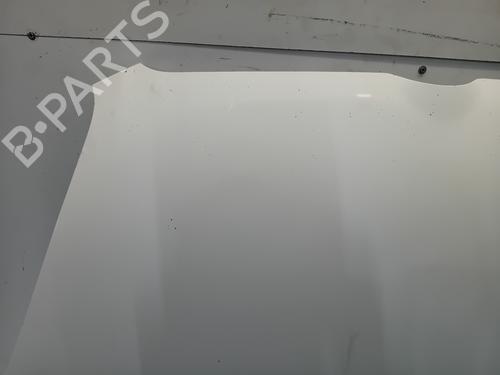 Hood FIAT DOBLO Cargo (263_) 1.3 D Multijet | BP28083633C1 