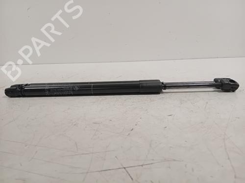 Hood lift support BMW X5 (F15, F85) xDrive 40e | BP21197614C139 