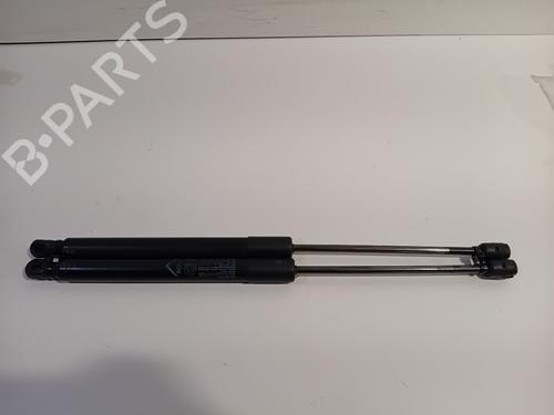 tailgate-lift-support-fiat-500x-334_-2014-26725517 main image