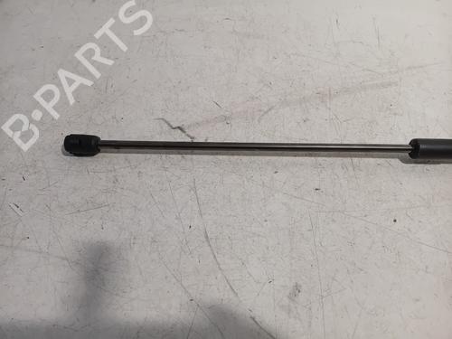Hood lift support RENAULT MEGANE III Hatchback (BZ0/1_, B3_) 1.5 dCi (BZ09, BZ0D, BZ1W, BZ29, BZ14) | BP19274389C139 