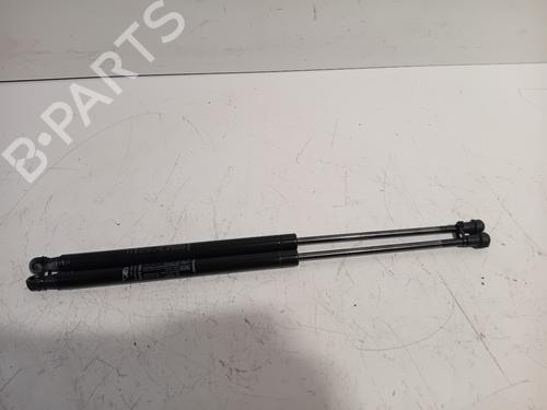 Used Tailgate lift support ABARTH 500 / 595 / 695 1.4 (312.AXT1A) (190 hp) 24207595