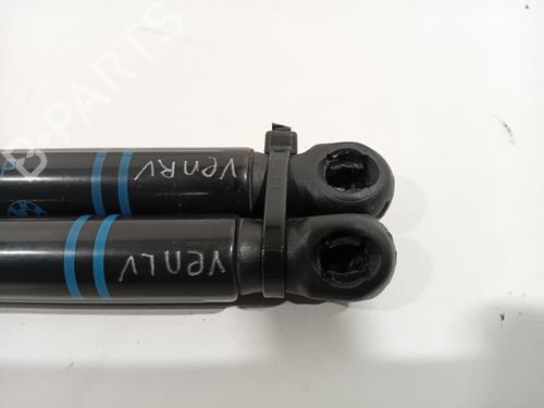 Hood lift support BMW 3 Touring (F31) 320 d | BP23988561C139 