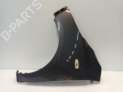 Used Left front fenders HYUNDAI i10 I (PA) 1.1 (69 hp) 29912906