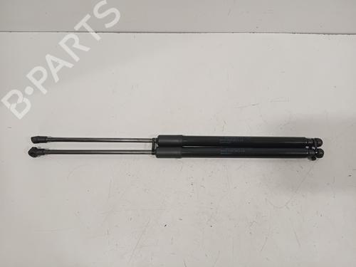 Gassdemper Bakluke RENAULT GRAND SCÉNIC IV (R9_) 1.3 TCe 160 (R9NC) | BP28282974C138 