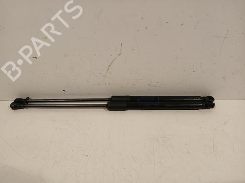 Used Hood lift support RENAULT KANGOO III Box Body/MPV 1.5 Blue dCi 115 (FJAC) (116 hp) 30625237