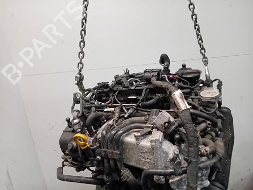 Engine VW GOLF VII (5G1, BQ1, BE1, BE2) 1.6 TDI | BP33607815M1 - Image 2