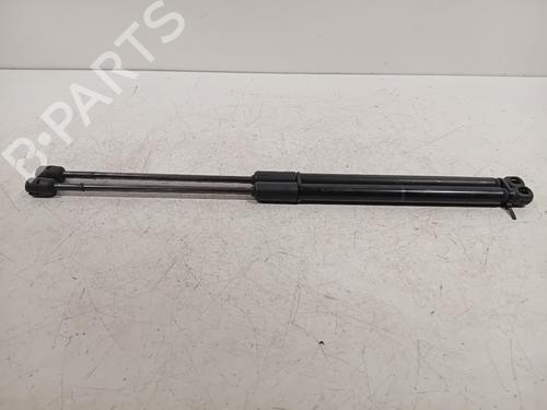 Tailgate lift support SKODA OCTAVIA III (5E3, NL3, NR3) 1.0 TSI | BP20136098C138 
