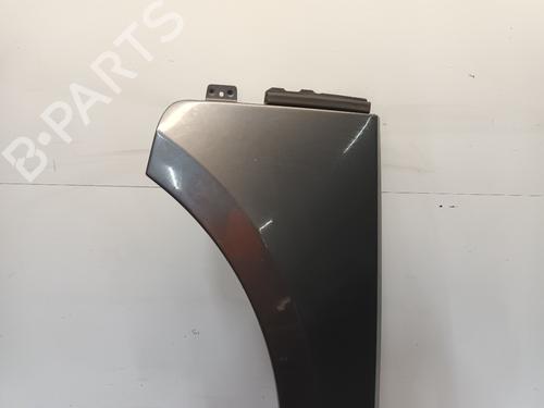 Left front fenders LAND ROVER RANGE ROVER III (L322) 3.0 D 4x4 | BP22426943C41 