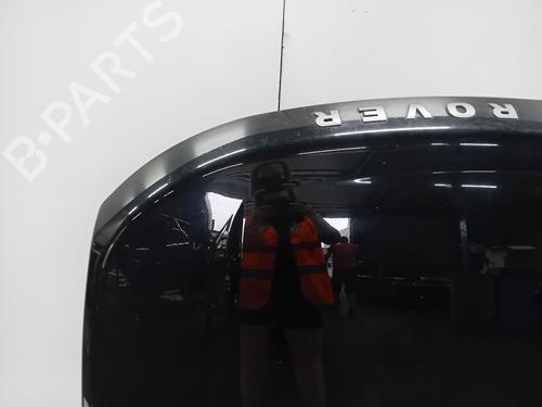 Hood LAND ROVER DISCOVERY III (L319) 2.7 TD 4x4 | BP21056480C1 