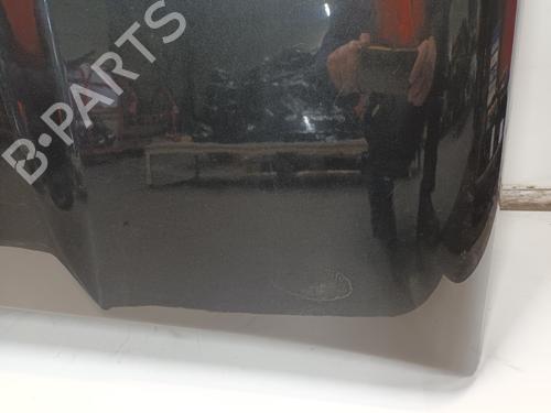 Tailgate RAM 1500 Standard Cab Pickup (DS) 5.7 | BP31149423C6 