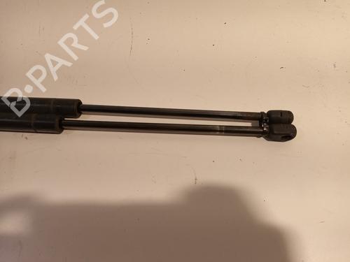 Tailgate lift support LAND ROVER RANGE ROVER SPORT I (L320) 3.6 D 4x4 | BP16421604C138 