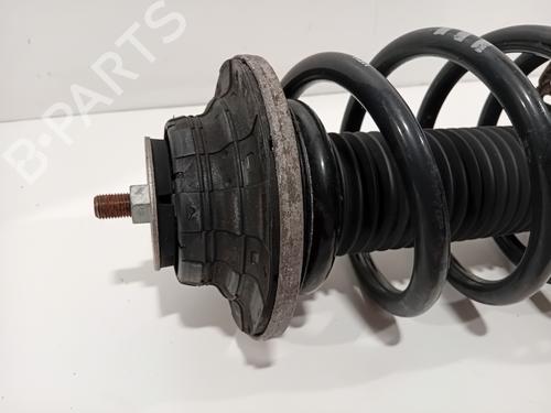 Right front shock absorber VW TRANSPORTER T6 Van (SGA, SGH, SHA, SHH) 2.0 TDI | BP29700079M17 