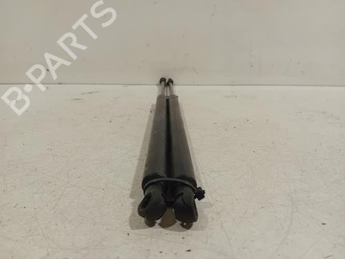 Tailgate lift support LEXUS GS (_S19_) 450h (GRS191_, GWS191_, GRS191R, GWS191R) | BP20289054C138 