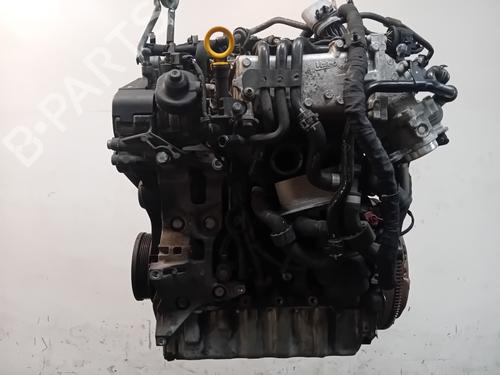 Engine SEAT LEON ST (5F8) 1.6 TDI | BP38508777M1 - Image 3