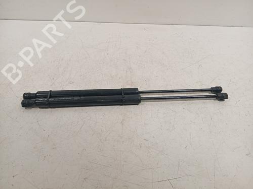 Used Tailgate lift support RENAULT ZOE (BFM_) ZOE (88 hp) 22768268