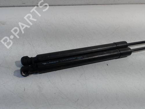 Tailgate lift support RENAULT ZOE (BFM_) ZOE | BP13207557C138 