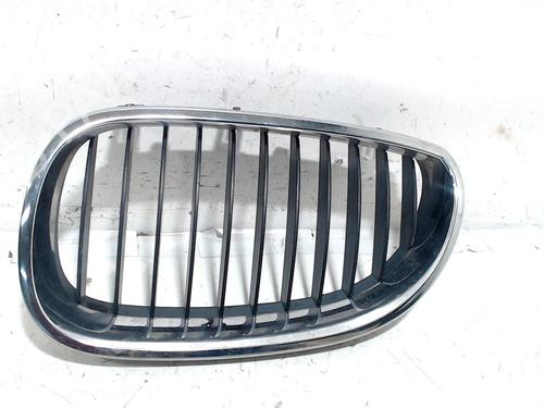 Used Grille BMW 5 Touring (E61) 525 d (177 hp) 13202100