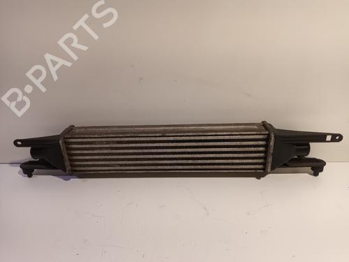 Used Intercooler FIAT PUNTO EVO (199_) 1.3 D Multijet (84 hp) 16534331
